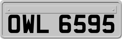 OWL6595