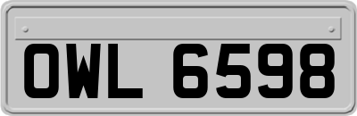 OWL6598