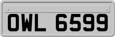 OWL6599