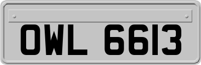 OWL6613