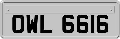 OWL6616