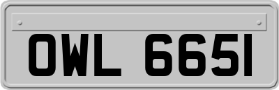 OWL6651