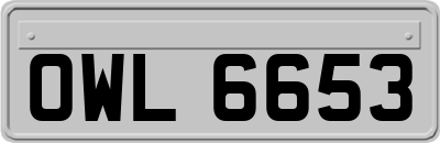 OWL6653
