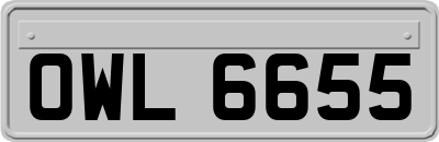 OWL6655