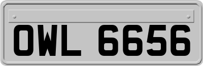 OWL6656