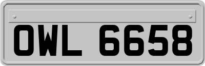 OWL6658