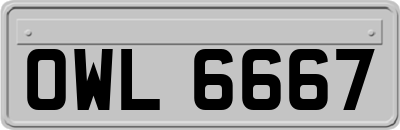 OWL6667