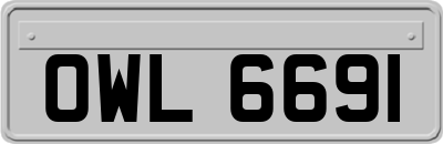 OWL6691