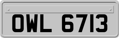 OWL6713