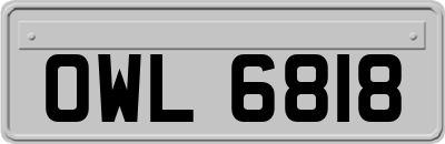 OWL6818