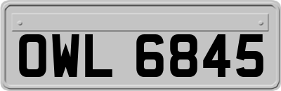 OWL6845