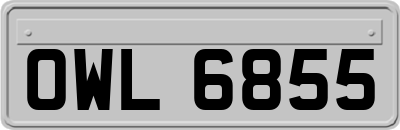 OWL6855
