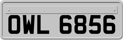 OWL6856