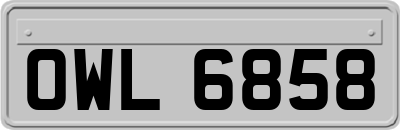 OWL6858
