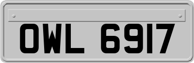 OWL6917