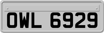 OWL6929