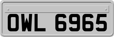 OWL6965