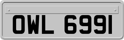 OWL6991