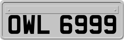 OWL6999