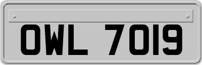 OWL7019