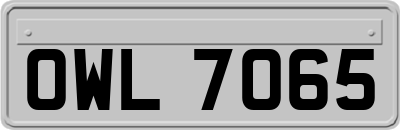 OWL7065