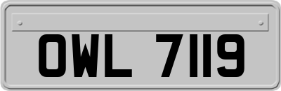 OWL7119