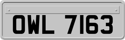 OWL7163