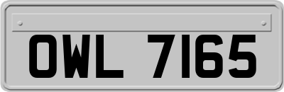 OWL7165