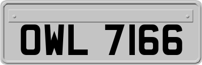OWL7166