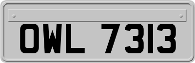 OWL7313