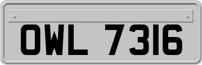 OWL7316