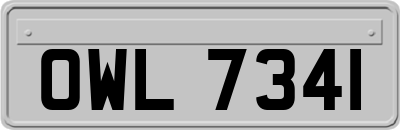 OWL7341