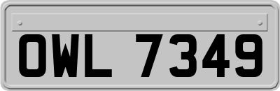 OWL7349