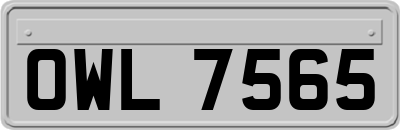 OWL7565