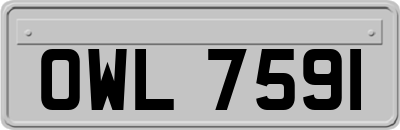 OWL7591