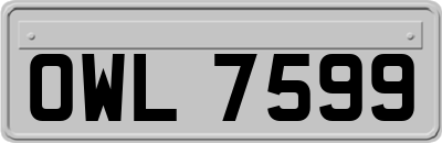 OWL7599
