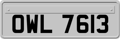 OWL7613