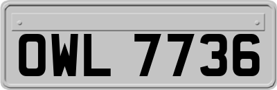 OWL7736