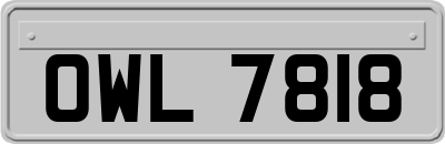 OWL7818
