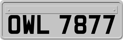 OWL7877