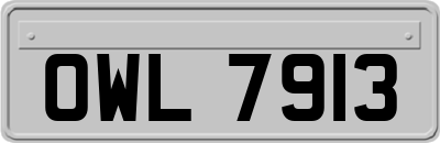 OWL7913