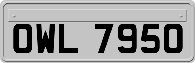 OWL7950