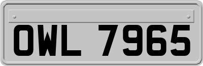 OWL7965