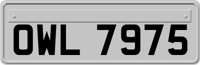OWL7975