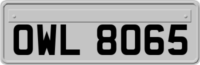 OWL8065