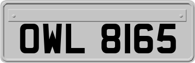 OWL8165