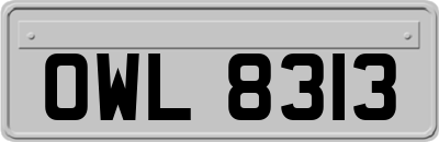 OWL8313