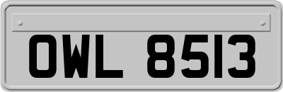 OWL8513