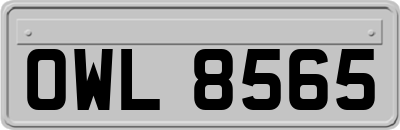 OWL8565