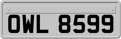 OWL8599